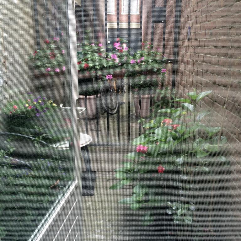 Rose 170 5* Ámsterdam